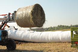 В России заготовлено 21,2 млн тонн объемистых кормов
